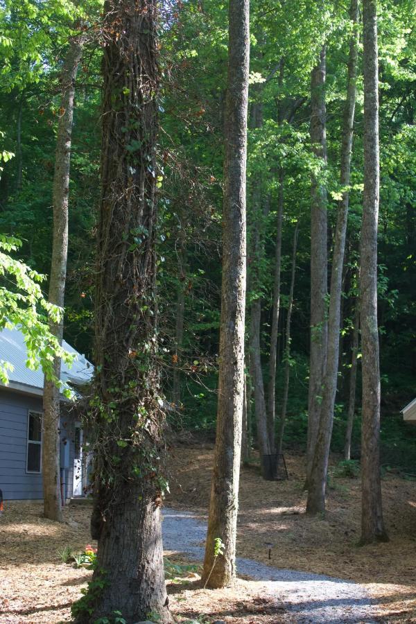 Villas At Gingershack Farms Ellijay Exterior photo